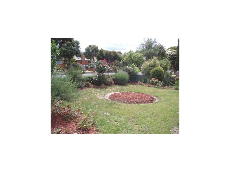 48 Carlton Road, Dandenong North VIC 3175