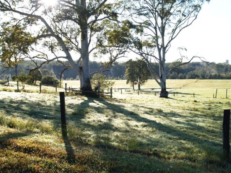 1496 Pipeclay Road, Pipeclay NSW 2446