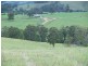 1496 Pipeclay Road, Pipeclay NSW 2446