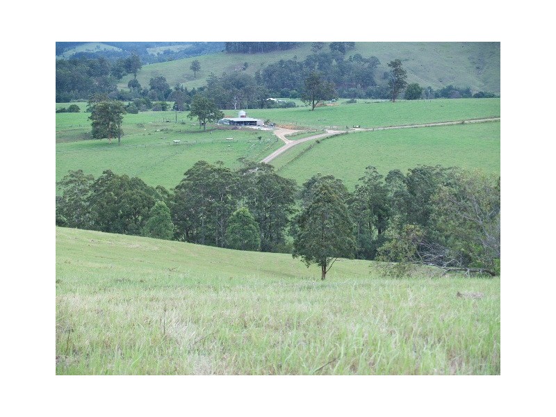 1496 Pipeclay Road, Pipeclay NSW 2446