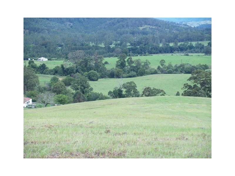 1496 Pipeclay Road, Pipeclay NSW 2446