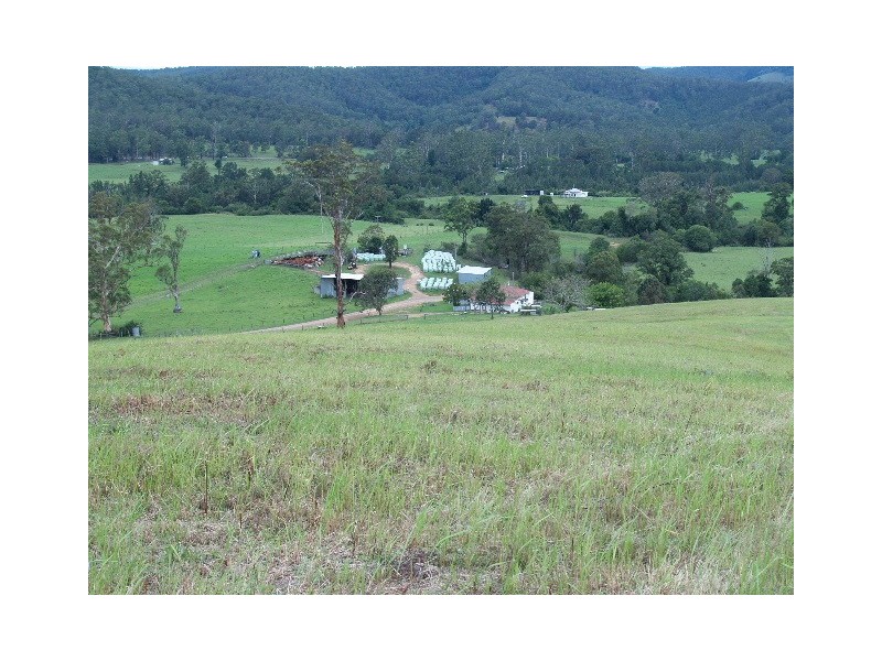 1496 Pipeclay Road, Pipeclay NSW 2446