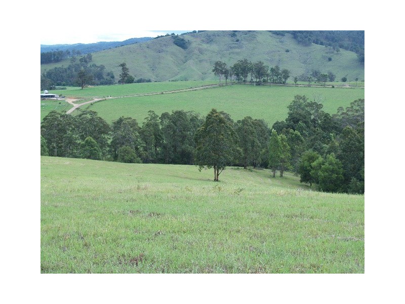 1496 Pipeclay Road, Pipeclay NSW 2446