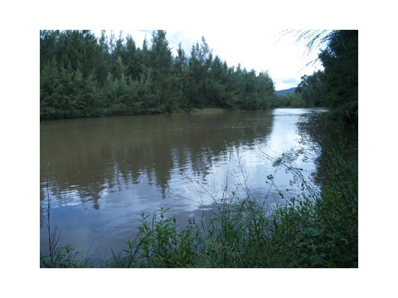 1496 Pipeclay Road, Pipeclay NSW 2446