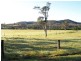 1496 Pipeclay Road, Pipeclay NSW 2446