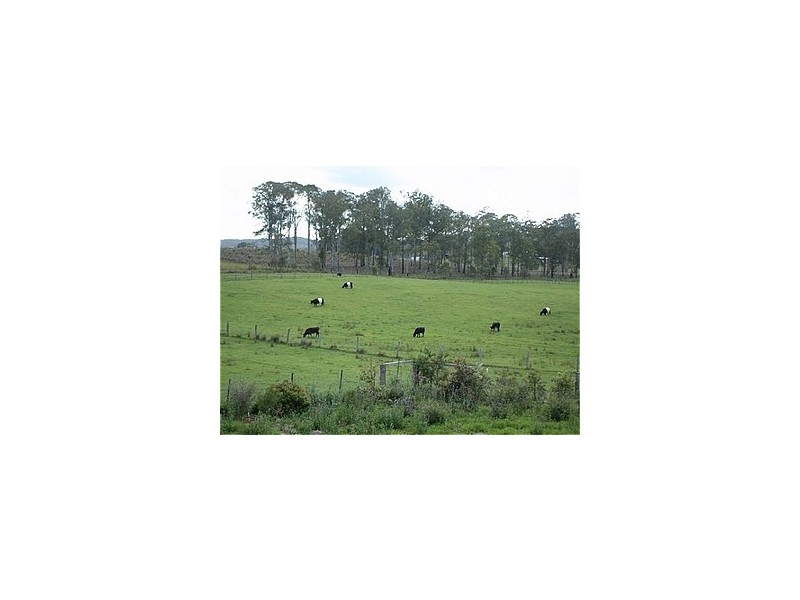 192 Bril Bril Road, Rollands Plains NSW 2441