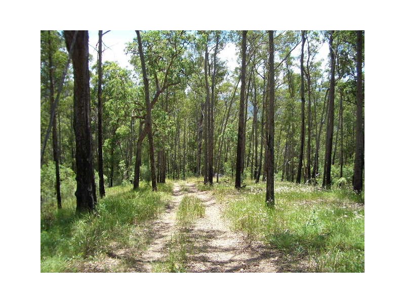 Lot 31 Cells River Road, Yarrowitch NSW 2354