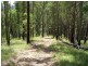Lot 31 Cells River Road, Yarrowitch NSW 2354