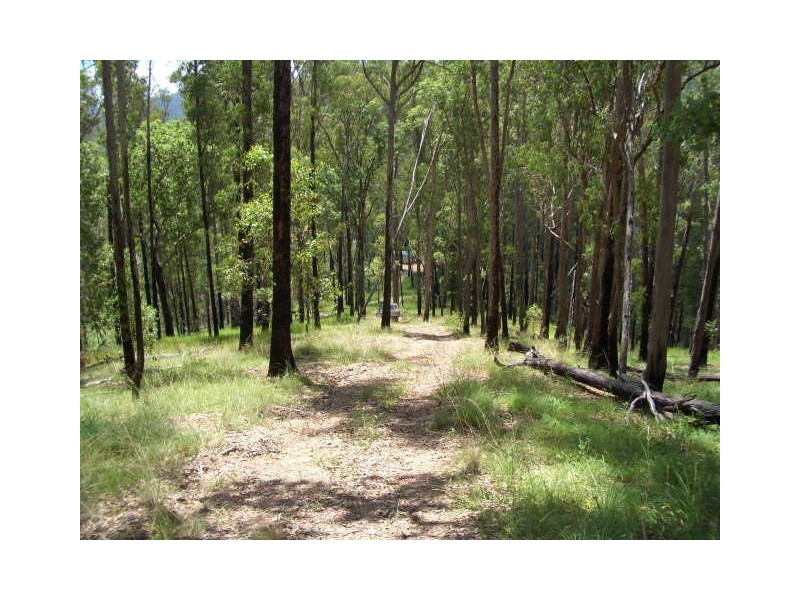 Lot 31 Cells River Road, Yarrowitch NSW 2354