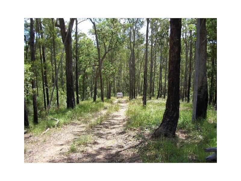 Lot 31 Cells River Road, Yarrowitch NSW 2354