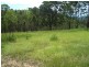 Lot 31 Cells River Road, Yarrowitch NSW 2354