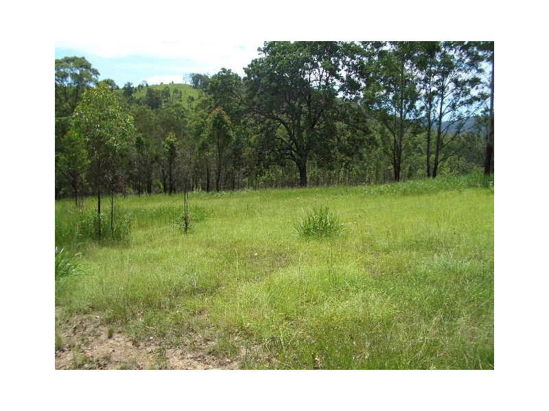Lot 31 Cells River Road, Yarrowitch NSW 2354