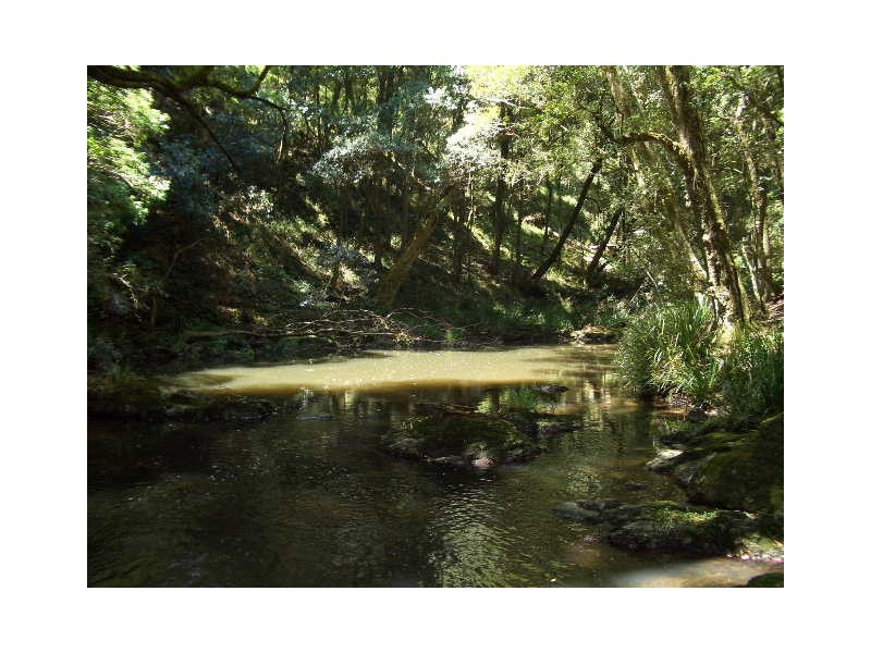 Lot 31 Cells River Road, Yarrowitch NSW 2354