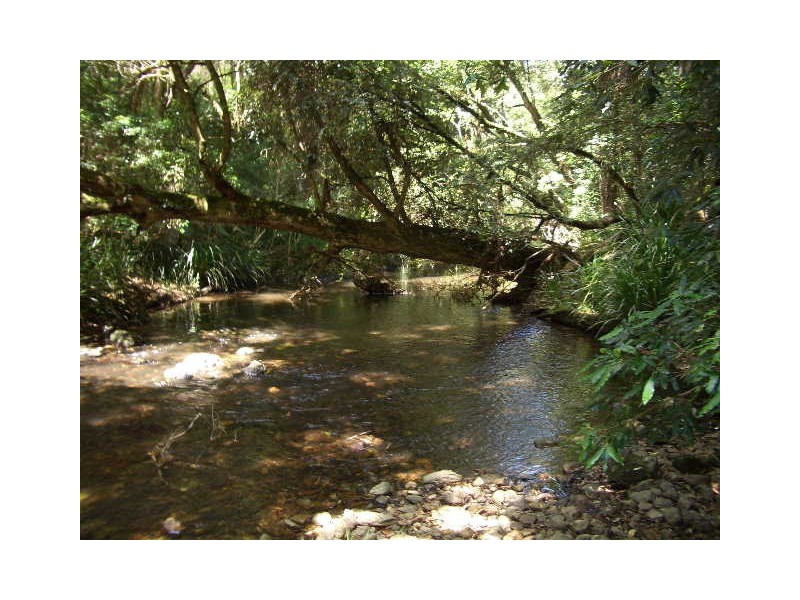 Lot 31 Cells River Road, Yarrowitch NSW 2354