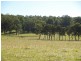 849 Cooperabung Drive, Telegraph Point NSW 2441