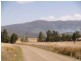Lot 145 Costigans Road, Yarras NSW 2446