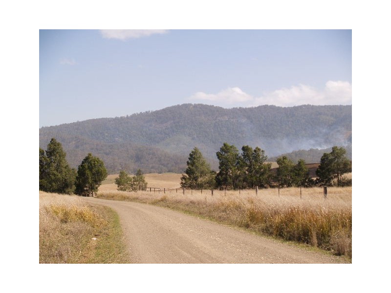 Lot 145 Costigans Road, Yarras NSW 2446