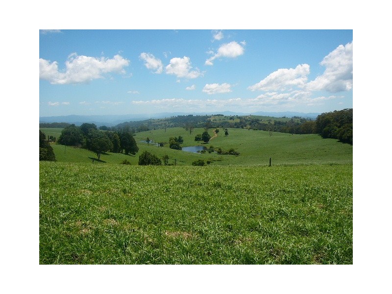 Lot 1, 4 Ingleside Road, Comboyne NSW 2429
