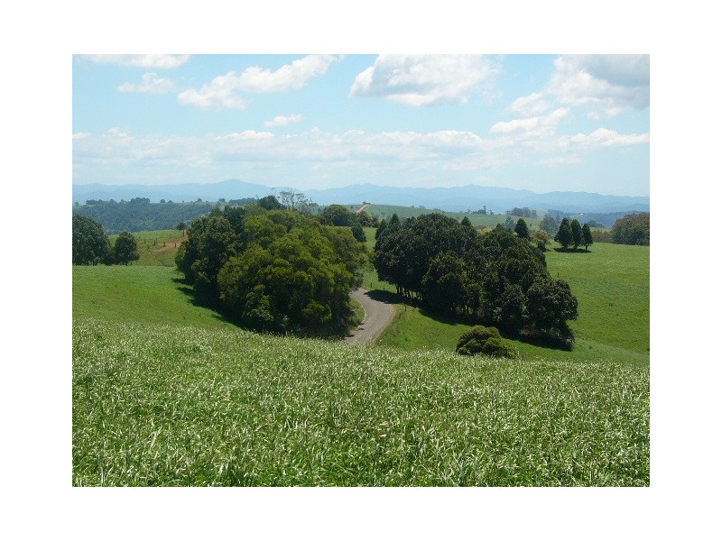Lot 1, 4 Ingleside Road, Comboyne NSW 2429