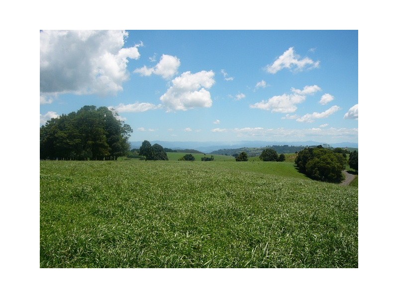 Lot 1, 4 Ingleside Road, Comboyne NSW 2429