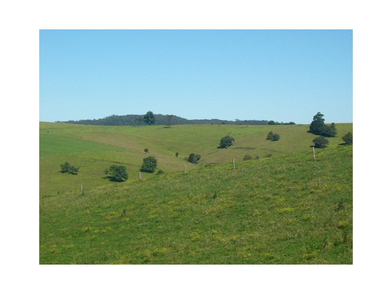 Lot 1, 4 Ingleside Road, Comboyne NSW 2429