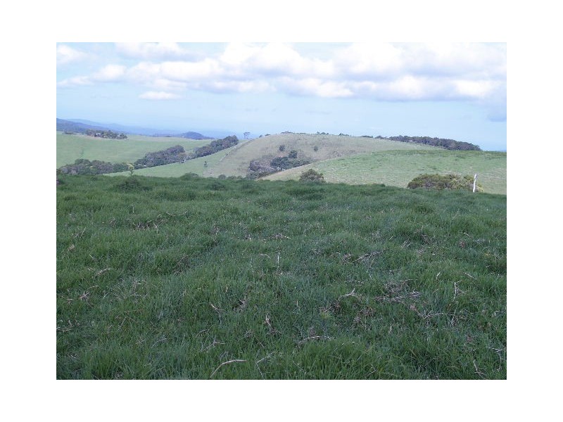 Lot 493 Latimores Road, Comboyne NSW 2429