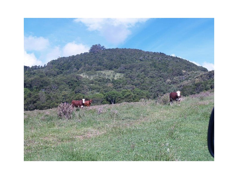 Lot 493 Latimores Road, Comboyne NSW 2429