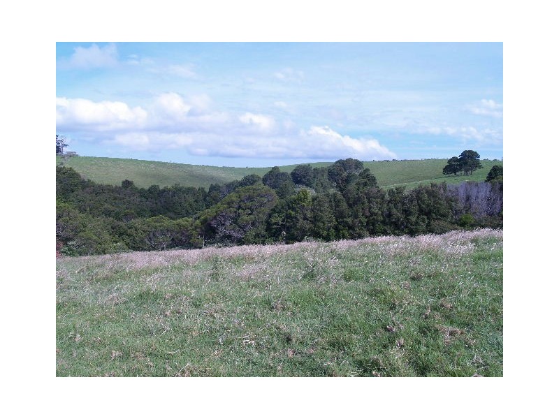 Lot 493 Latimores Road, Comboyne NSW 2429