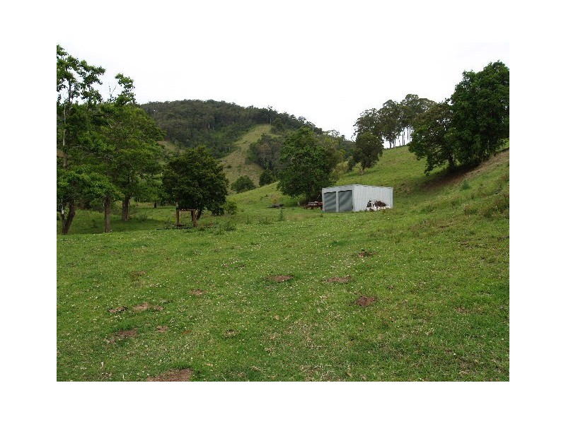 169 and 170 Toms Creek Road, Ellenborough NSW 2446