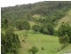 169 and 170 Toms Creek Road, Ellenborough NSW 2446