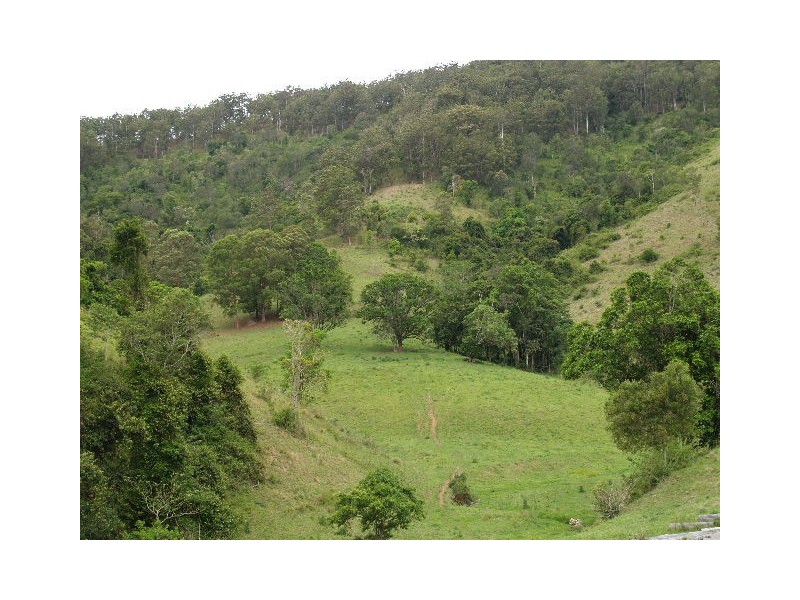 169 and 170 Toms Creek Road, Ellenborough NSW 2446