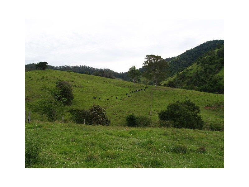 169 and 170 Toms Creek Road, Ellenborough NSW 2446