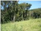 359 Tilbaroo Crossing Road, Toms Creek NSW 2446