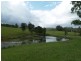 115 West Frazers Creek Road, Beechwood NSW 2446
