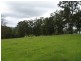 115 West Frazers Creek Road, Beechwood NSW 2446