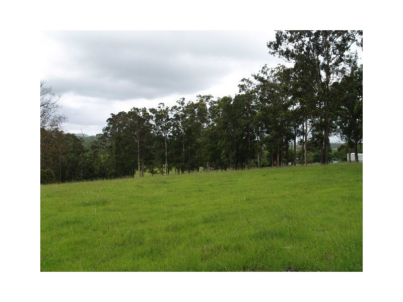 115 West Frazers Creek Road, Beechwood NSW 2446