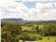 189 Pappinbarra Road, Beechwood NSW 2446