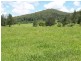 189 Pappinbarra Road, Beechwood NSW 2446