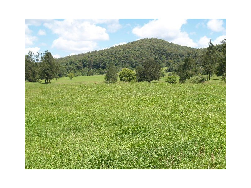 189 Pappinbarra Road, Beechwood NSW 2446