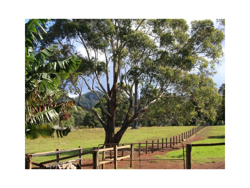 1175 Ocean Drive, Bonny Hills NSW 2445