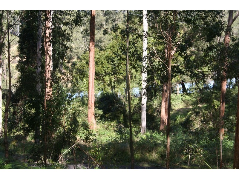 392 Rollands Plains Road, Telegraph Point NSW 2441