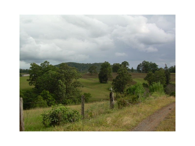164 Sharkeys Road, Bellangry NSW 2446