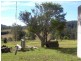 164 Sharkeys Road, Bellangry NSW 2446