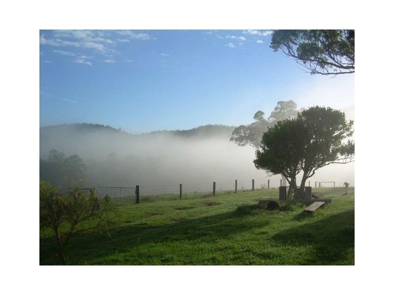 164 Sharkeys Road, Bellangry NSW 2446