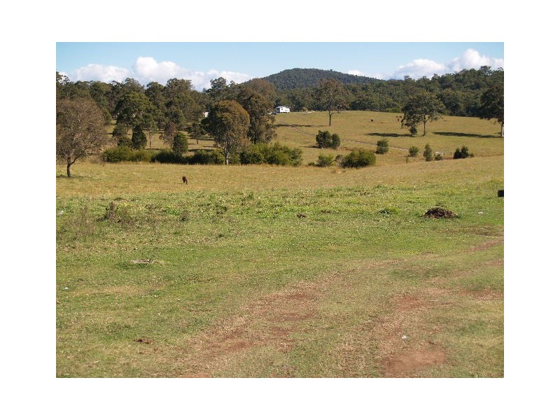 Lot 3 Neville Road, Beechwood NSW 2446