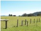 Lot 1 /27 Wallaby Drive, Gum Scrub NSW 2441
