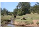 Lot 1 /27 Wallaby Drive, Gum Scrub NSW 2441