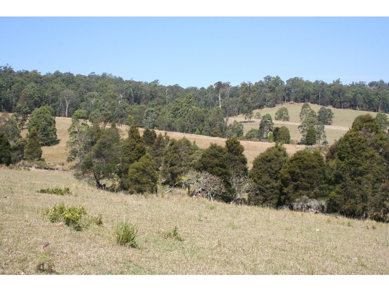388 Red Hill Road, Telegraph Point NSW 2441