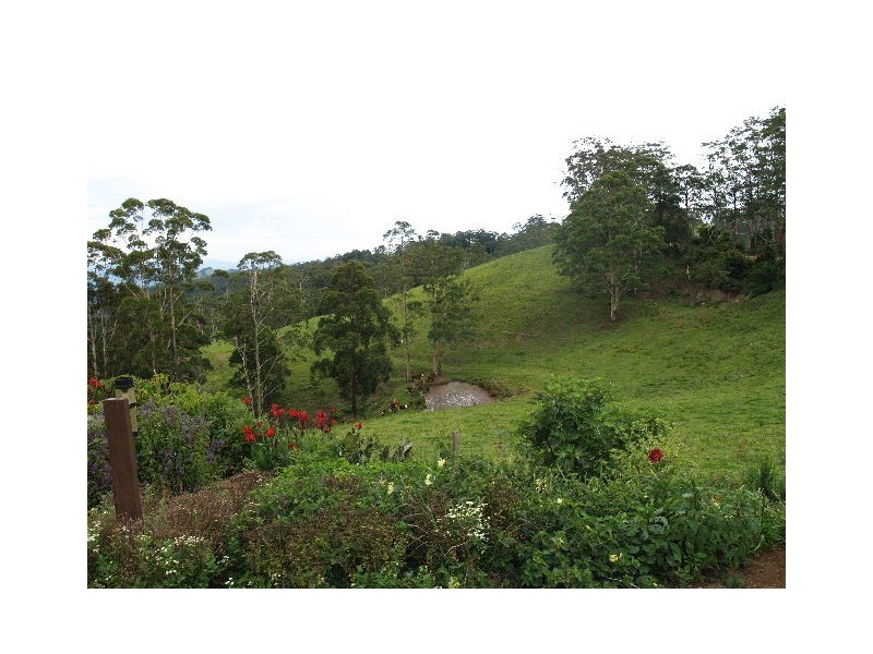 Lot 481  Ponsford Road, Comboyne NSW 2429