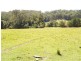 157 Gum Scrub Road, Gum Scrub NSW 2441